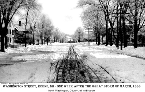 Washington Street after the Blizzard of 1888 (4443857256)