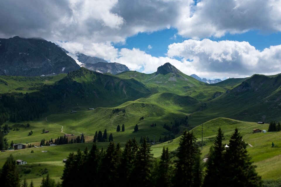 Mountain green grass