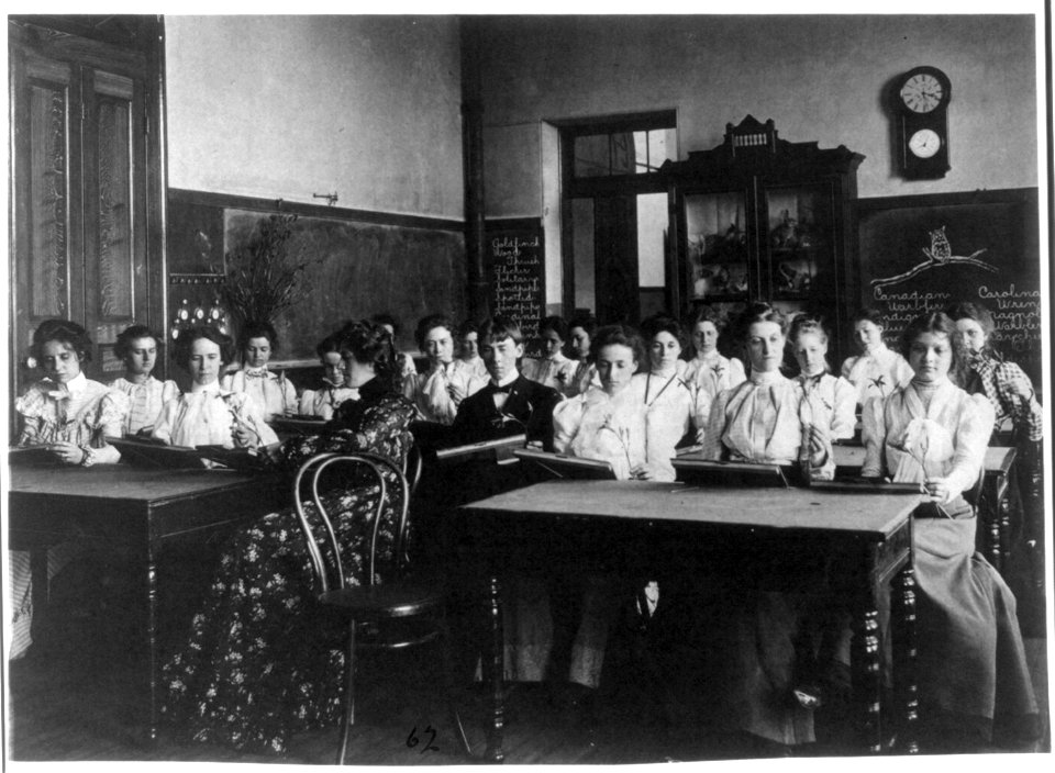 Washington, D.C. public schools - Normal School class examining flowers LCCN2001703683