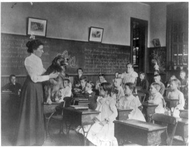 Washington, D.C. public schools, 5th Div. - teacher showing dog LCCN2001703676