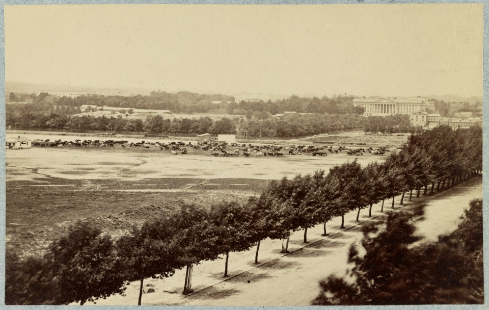 Washington, D.C., April, 1865 LCCN2013651866
