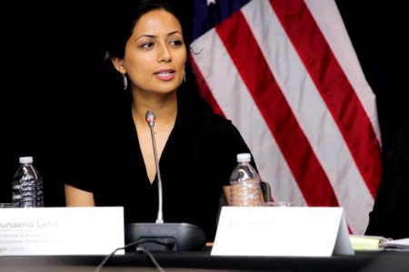Washington, DC - CUAC Public Session (9-1-16) (29346166650)