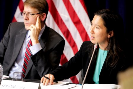 Washington, DC - CUAC Public Session (9-1-16) (29555587341)