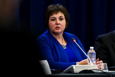 Washington, DC - CUAC Public Session (9-1-16) (30153109545)
