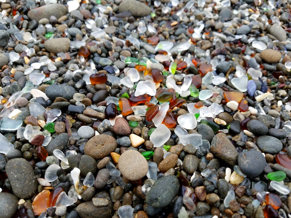 California sea tourism
