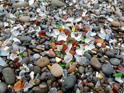 California sea tourism