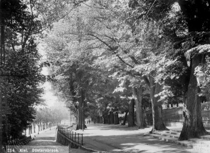 Wasserallee (Kiel 44.956) photo