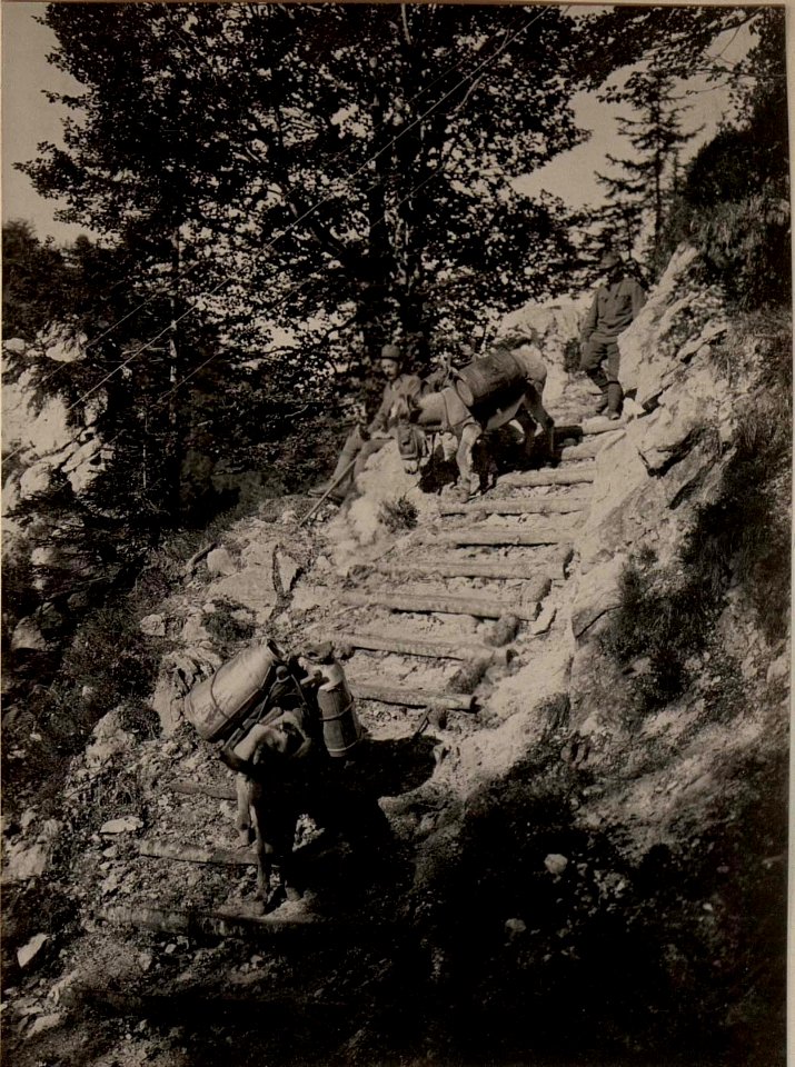 Wassertragtiere auf dem Wege von der Quelle an den Brückenköpfen zur BRISIA. aufgenommen am 27. Juni 1916. (BildID 15476749)