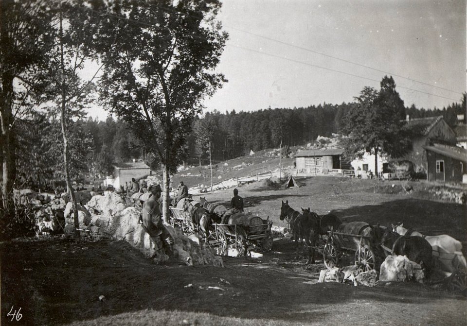 Wasserzufuhr zur Front im Ternovanerwalde. 3.9.17. (BildID 15601926)