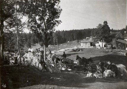 Wasserzufuhr zur Front im Ternovanerwalde. 3.9.17. (BildID 15601926)
