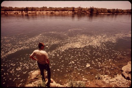 Waste-floating-on-colorado-river-5-miles-south-of-parker-may-1972 7006520186 o