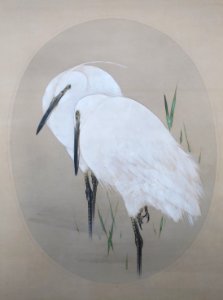 Little Egrets by Watanabe Seitei