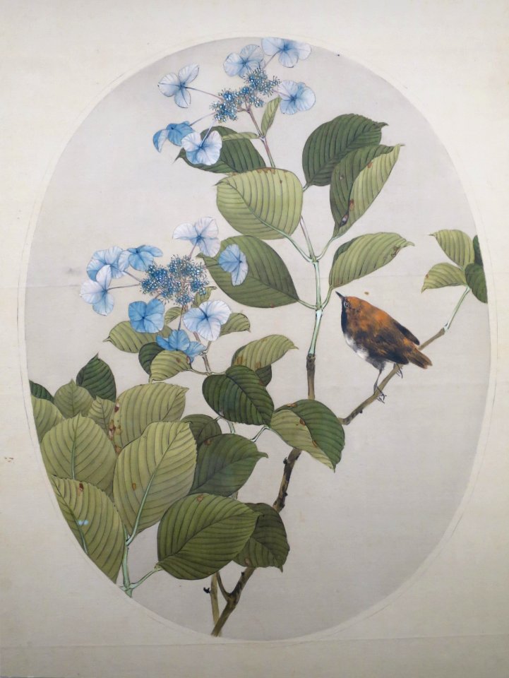 Wren with Hydrangeas by Watanabe Seitei 