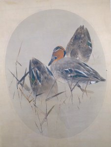 Teals with Reeds by Watanabe Seitei 
