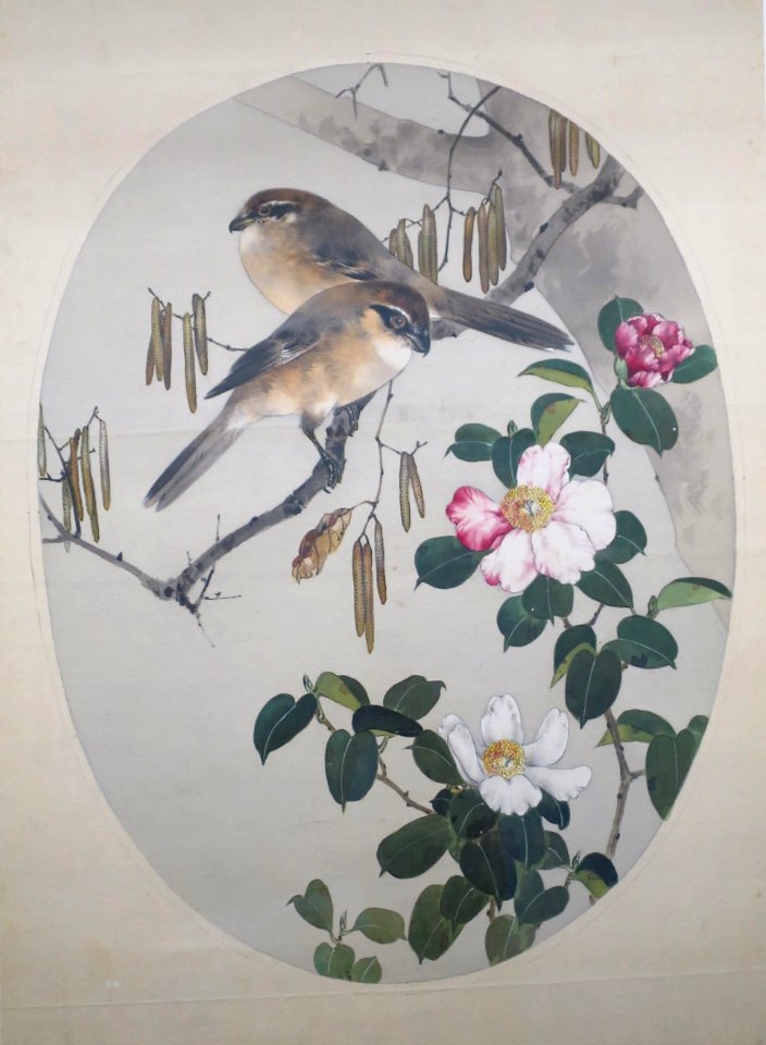 Bull-headed Shrikes with Camellia and Japanese Alder by Watanabe Seitei 