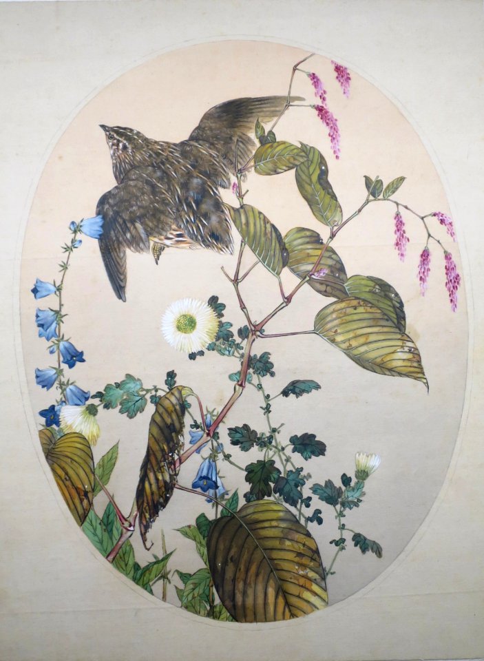 Quail, Knotweeds, Chrysanthemums, and Ladybells by Watanabe Seitei