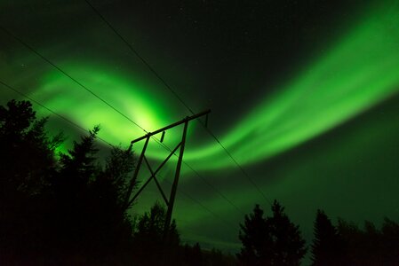 Aurora trees transmission photo