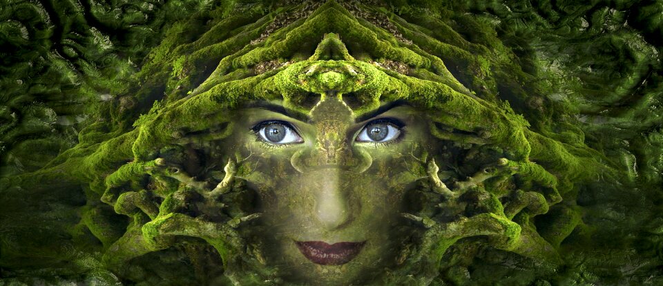 Moss forest symmetrical