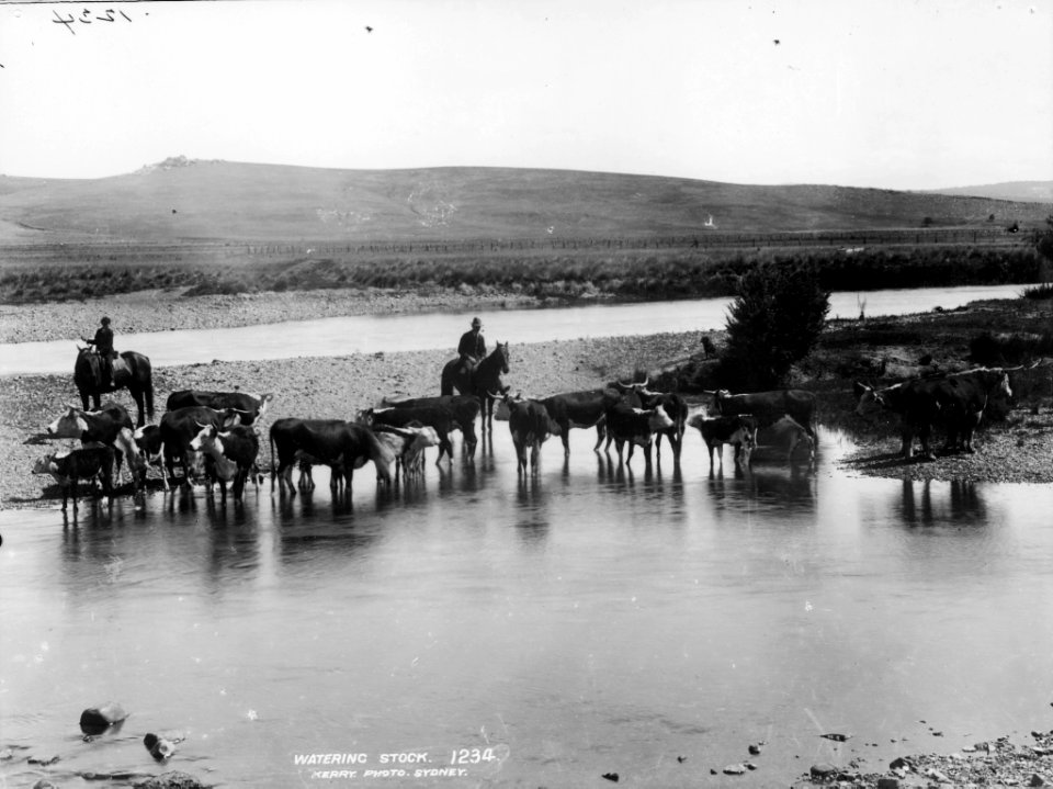 Watering stock from The Powerhouse Museum Collection