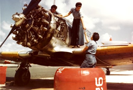 WAVES mechanics work on a North American SNJ at Naval Auxiliary Air Station Whiting Field, circa in 1944 (80-G-K-15003) photo