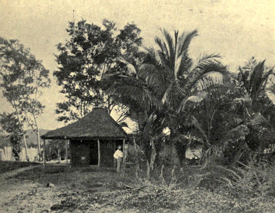 Wayside Scene, New Caledonia, c. 1906