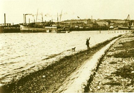 Wd b036