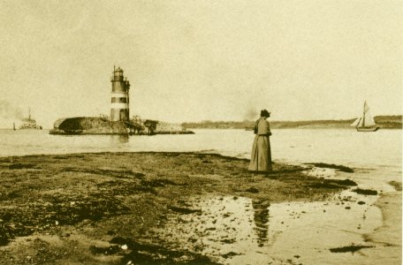 Wd b049