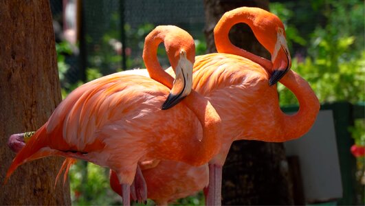 Outdoors animal zoo