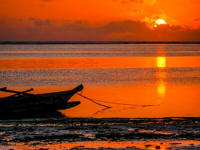 Traditional indian ocean zanzibar