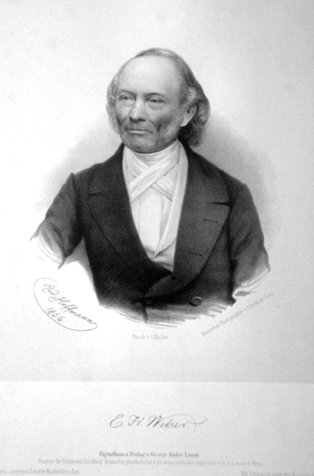 Ernst Heinrich Weber Litho