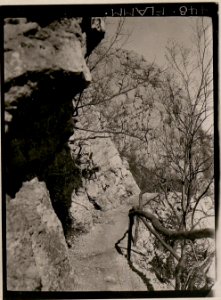 Weg auf den Monte Sabotino (BildID 15732649)