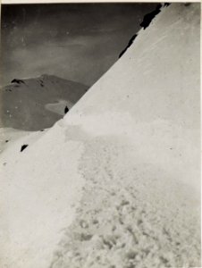 Weg von Pala di Sterpe nach Hochspitz-Senke. (BildID 15579467)