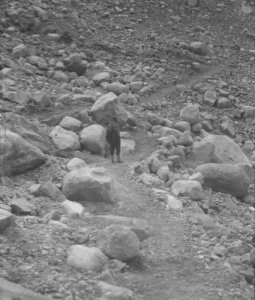 Wegener Expedition-1930 17