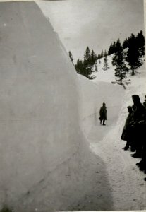 Weg auf den Monte Maggio von Milegna (BildID 15625511)