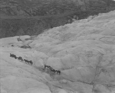 Wegener Expedition-1930 14