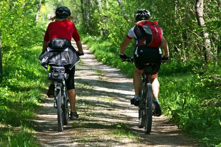 Forest cyclists nature photo