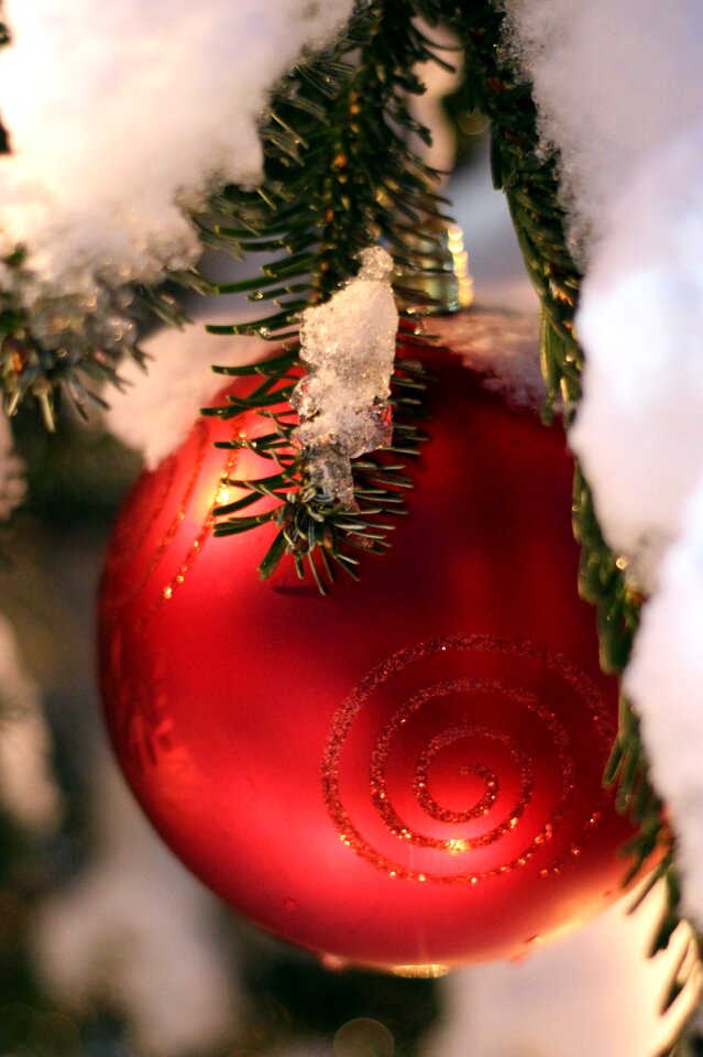 Snow christmas christmas decorations