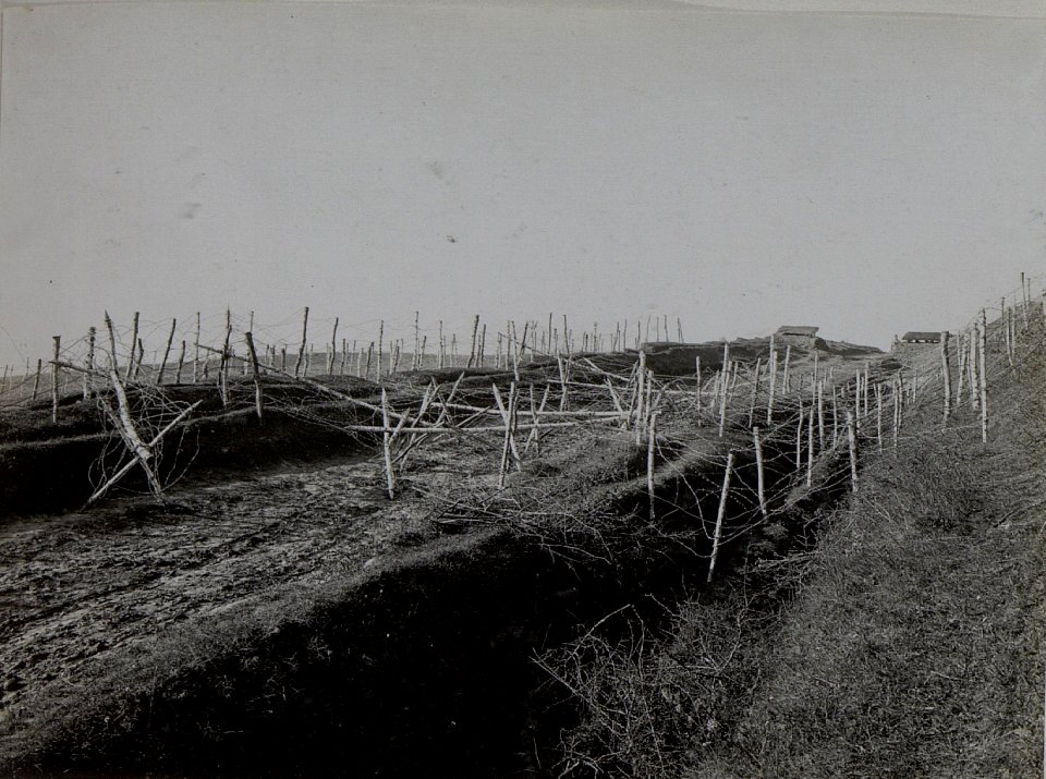 Wegsperre südlich Turkowitzy im Abschnitt der18. Kompanie des 84.Infanterieregiments (BildID 15442342)