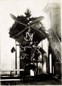 Weihnachtsbaum der 15. Fliegerkompanie. 24.12. in einer türkischen Moschee. (BildID 15576397)