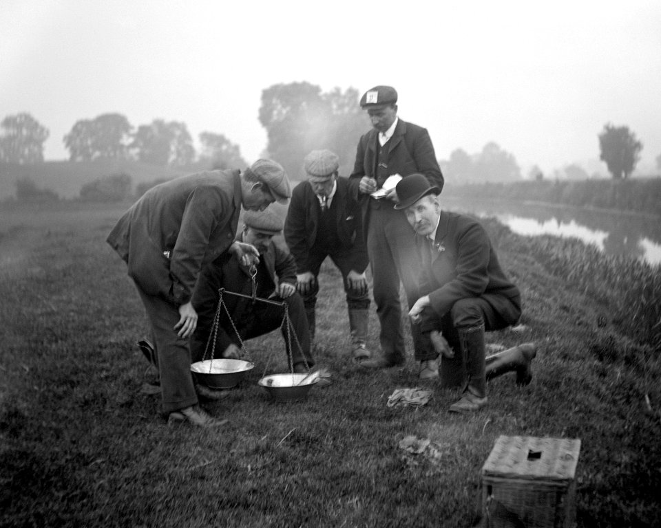 Weighing in YORYM-S66