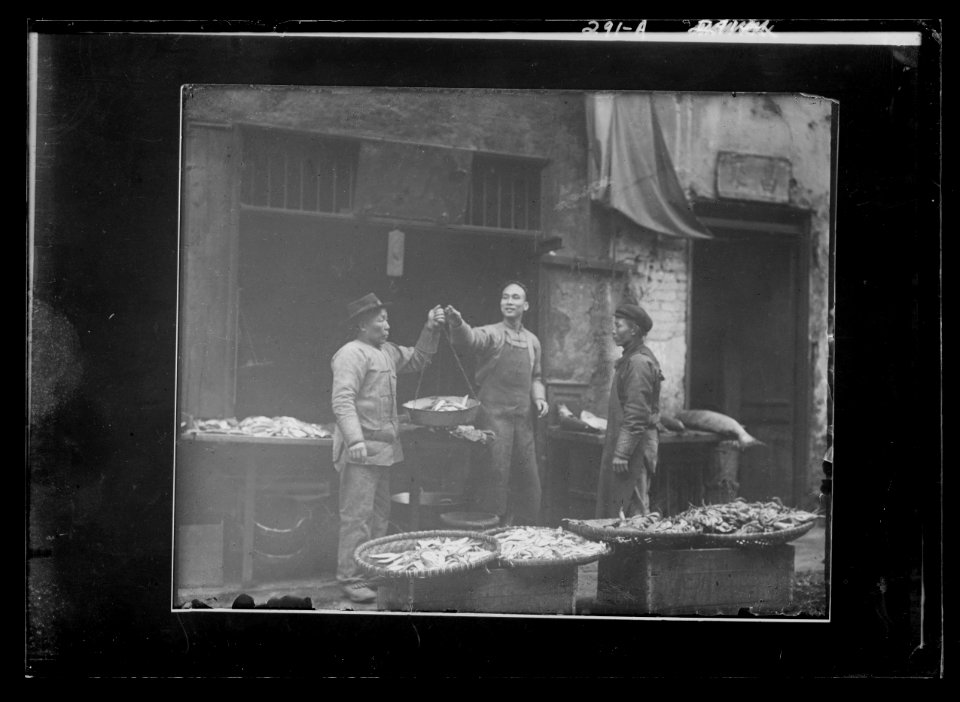Weighing fish, Chinatown, San Francisco LOC agc.7a08970