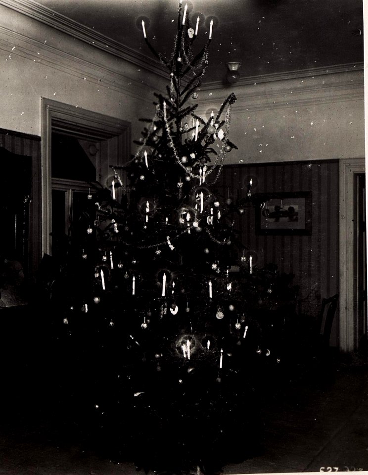 Weihnachtsbaum des 4.Armeekommandos in Wladimi Wolinsky (BildID 15706352)