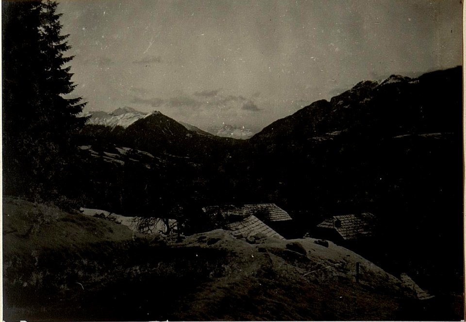 Weidenburg Gailtal, Blick nach Nordwesten auf den Venediger. (BildID 15471492)