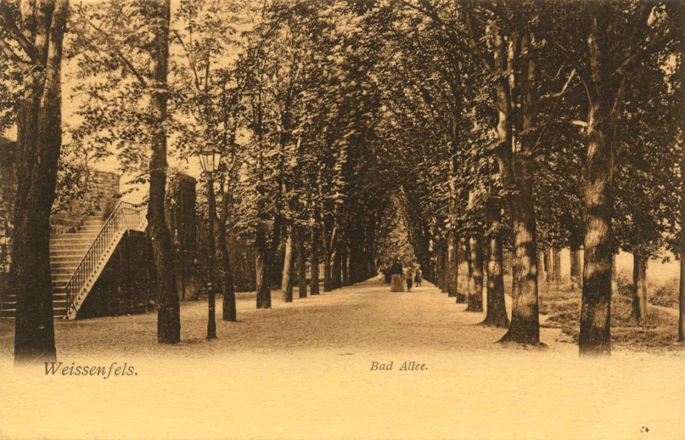 Weißenfels (Saale), Sachsen-Anhalt - Badallee (Zeno Ansichtskarten)