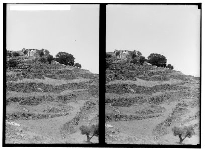 Weli of Budrieh at Sherafat and the preparing of a sacrifice. General view of the weli. LOC matpc.01410