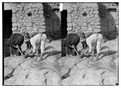 Weli of Budrieh at Sherafat and the preparing of a sacrifice. Collecting the blood for ritual purposes LOC matpc.06357