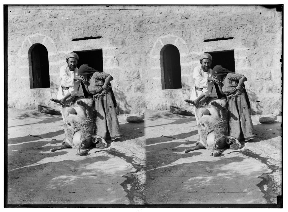 Weli of Budrieh at Sherafat and the preparing of a sacrifice. Oriental salutation after the sacrifice. LOC matpc.01421