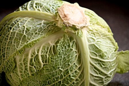 Vegetables savoy cabbage healthy photo