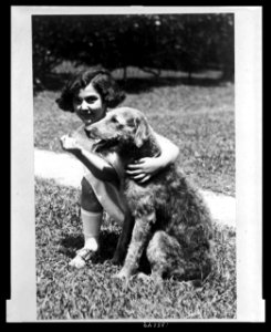 Well, well, here's Laddie Boy again, and no muzzle either LCCN2005677278