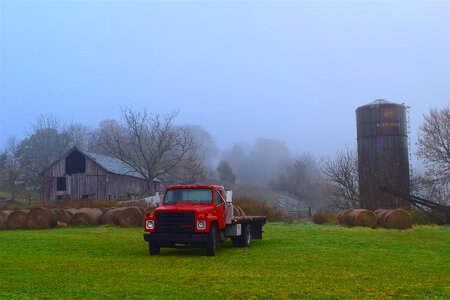 Rustic country grass photo